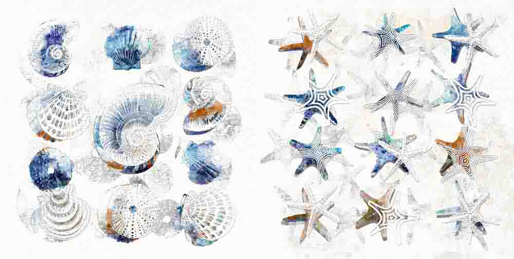 PXYW672 Wall décor art oil on canvas nautical sea shells blue white tones